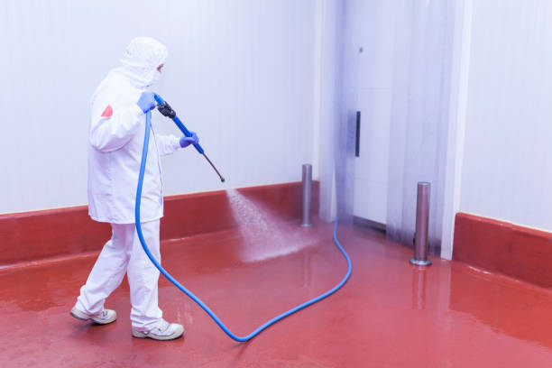 Best Sidewalk and Walkway Cleaning  in Burbank, CA